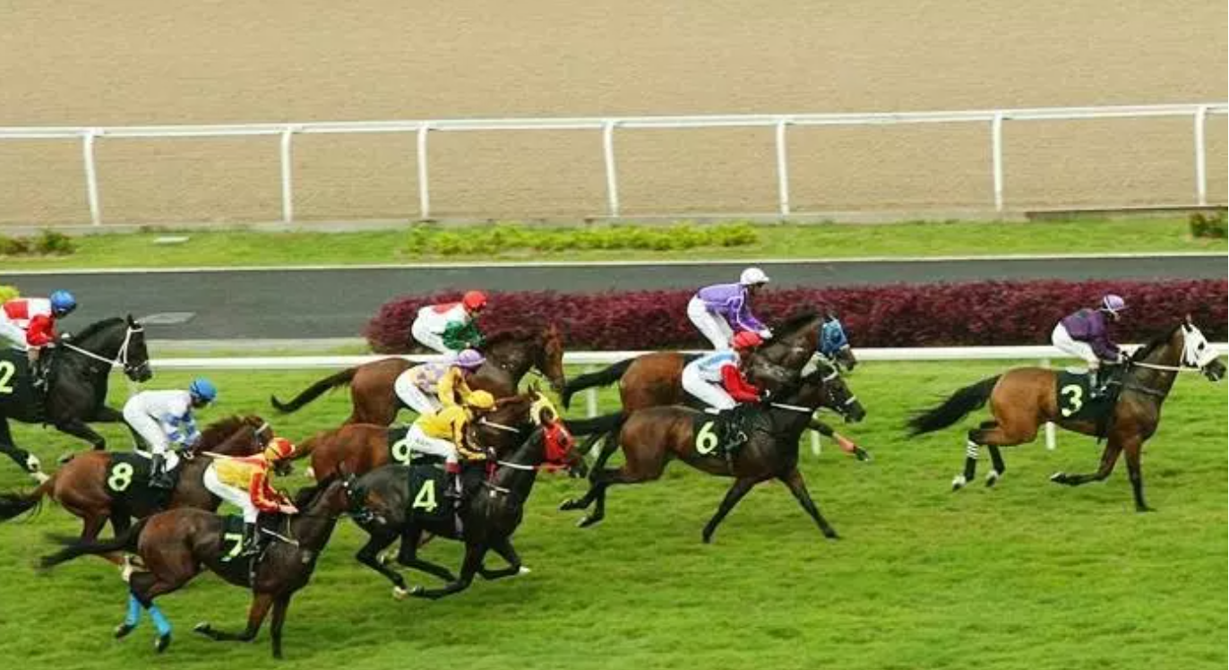 ಬೆಂಗಳೂರು ರೇಸ್ ಕೋರ್ಸ್ ಸ್ಥಳಾಂತರಕ್ಕೆ ನಿರ್ಧಾರ! ಎಲ್ಲಿಗೆ ಶಿಫ್ಟ್ ಆಗುತ್ತೆ?