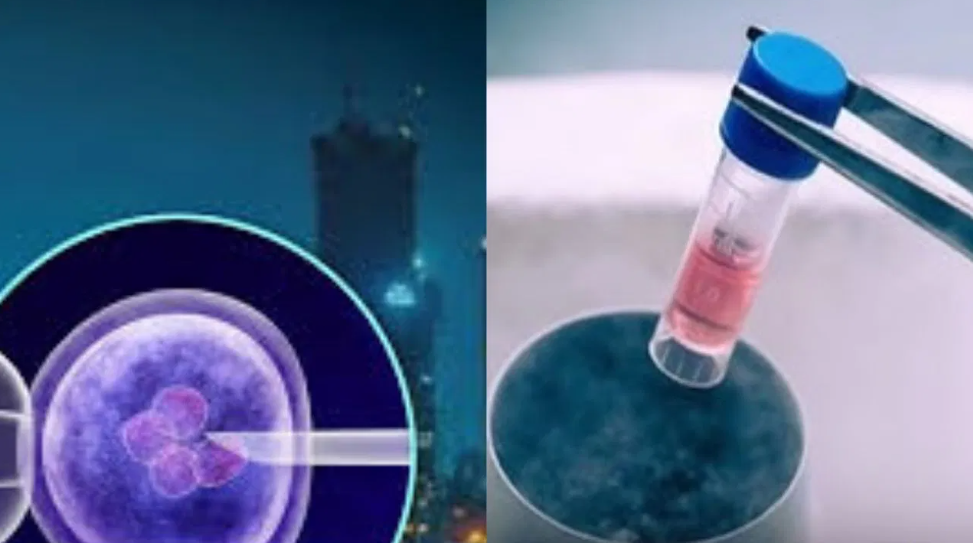 ಬೆಂಗಳೂರಿನಲ್ಲೂ ಅಂಡಾಣು ಮಾರಾಟ ದಂಧೆ? ಐವಿಎಫ್ ಕೇಂದ್ರಗಳ ಮೇಲೆ ಕಟ್ಟುನಿಟ್ಟಿನ ನಿಗಾಕ್ಕೆ ಆರೋಗ್ಯ ಇಲಾಖೆ ಸೂಚನೆ