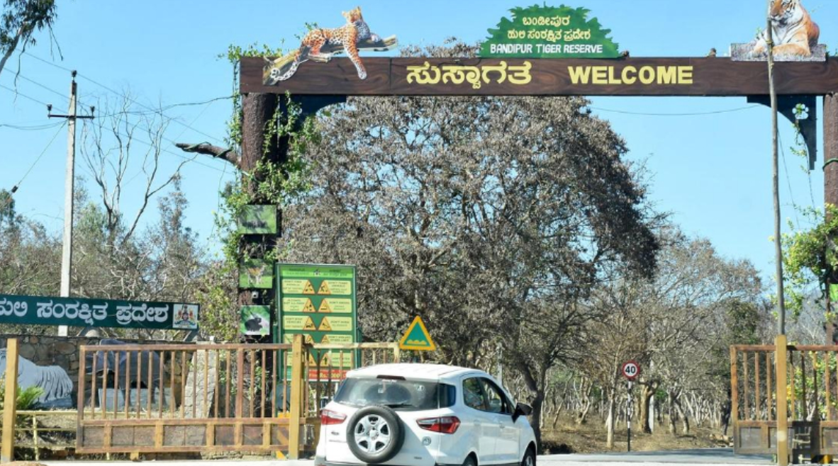 ನಾಗರಹೊಳೆ, ಬಂಡೀಪುರದಲ್ಲಿ ಸಫಾರಿಗೆ ಸರ್ಕಾರ ಅಸ್ತು.. ಹೋರಾಟದ ಎಚ್ಚರಿಕೆ ಕೊಟ್ಟ ರೈತರು